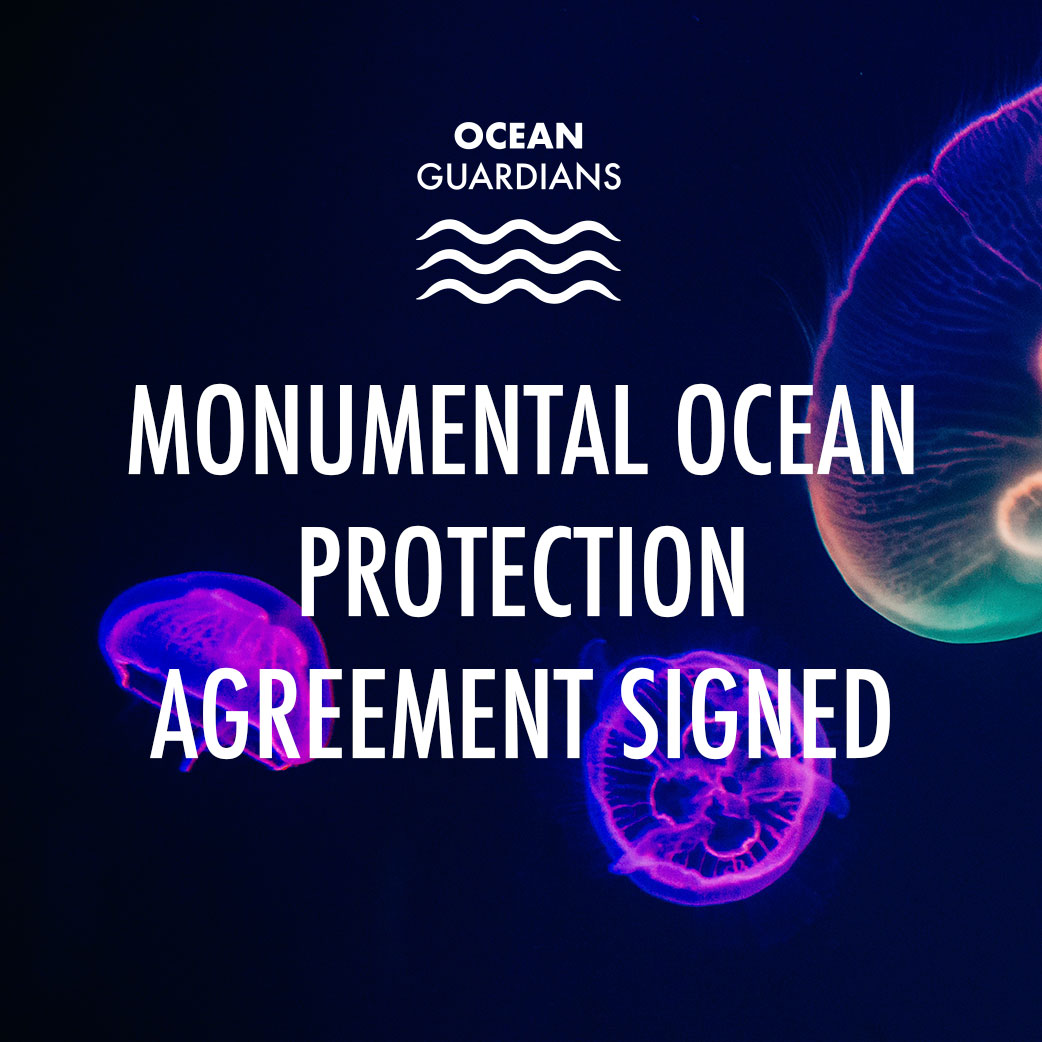 200 Countries Sign Ocean Protection Agreement